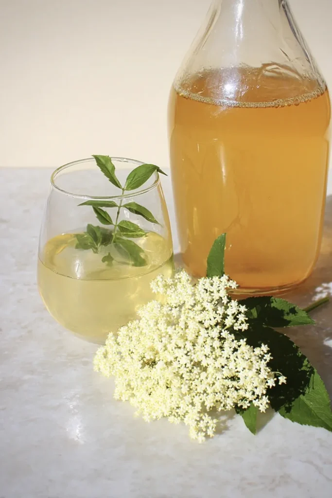 elderflower syrup