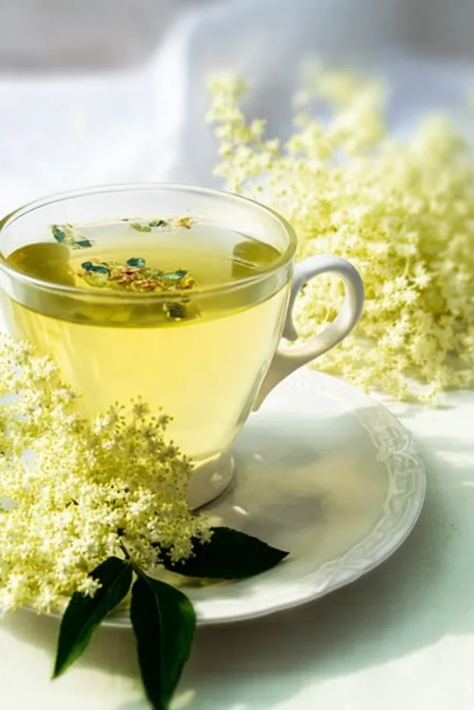 elderflower tea