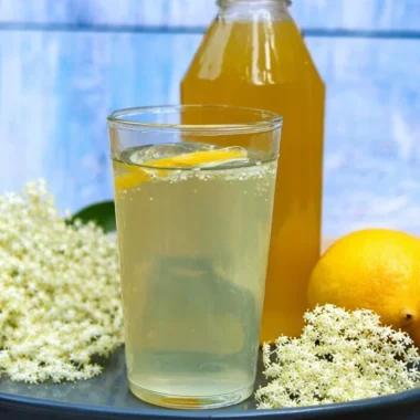elderflower cordial recipe